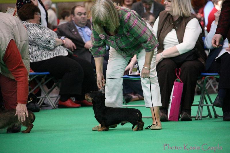 Crufts2011_2 824.jpg